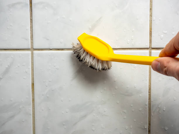 Best Mold Remediation Services  in Craig, CO