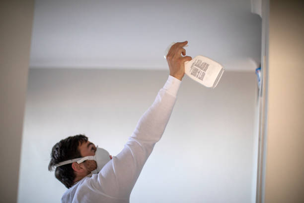 Best Mold Damage Repair  in Craig, CO